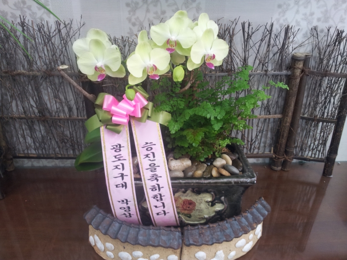 糭 